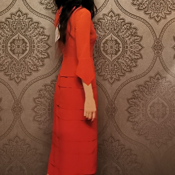 BNWT Iris and Ink 100% silk dress - Picture 5 of 11